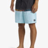 Men's shorts swimwear Quiksilver EVERYDAY WORDBLOCK VOLLEY