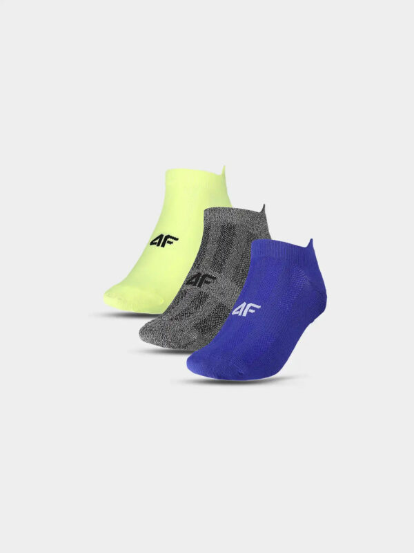 Men's socks 4F 3-pack