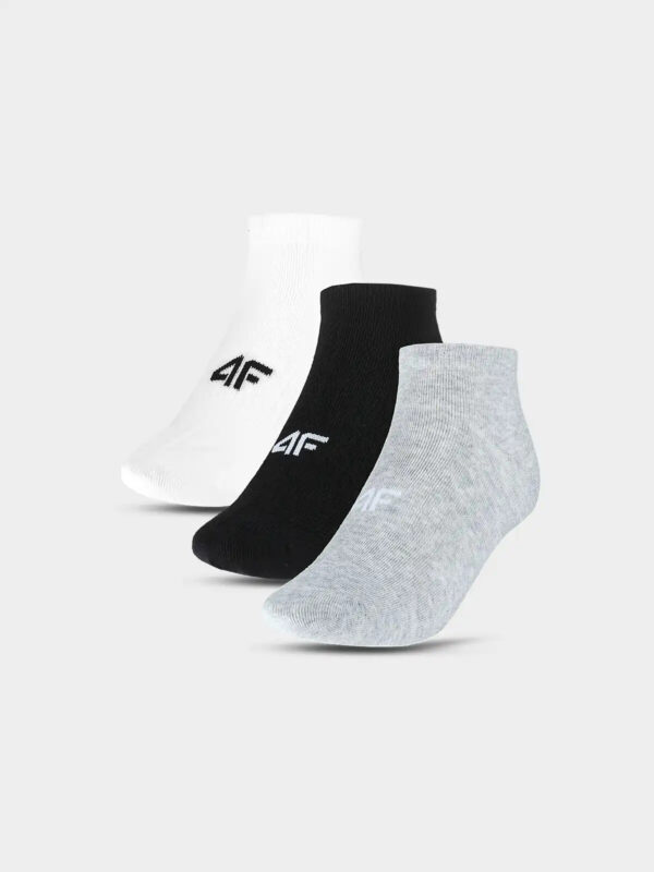 Men's socks 4F (3pack)