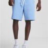 Men's sweat shorts Essentials light blue