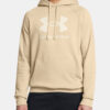 Men's sweatshirt Under Armour UA Rival Fleece Logo HD - Men's