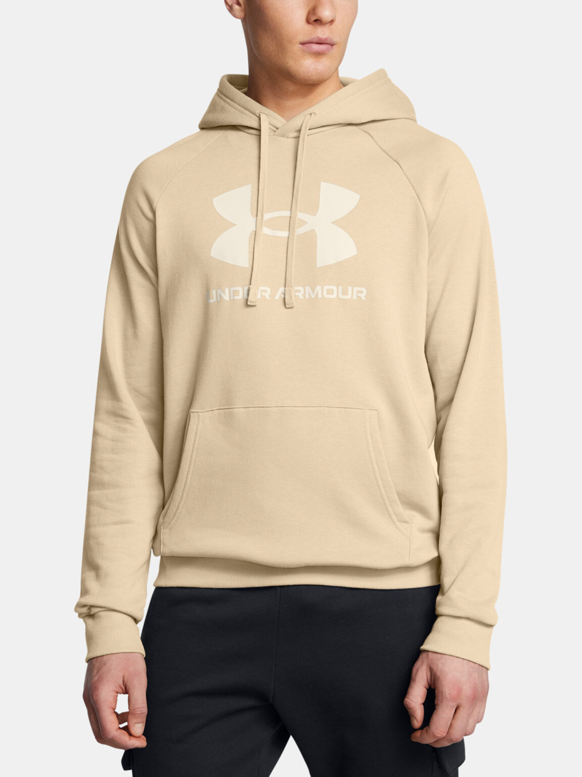 Men's sweatshirt Under Armour UA Rival Fleece Logo HD - Men's