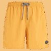 Men's swimming shorts Protest FASTER