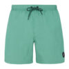 Men's swimming shorts Protest FASTER