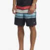 Men's swimming shorts Quiksilver EVERYDAY STRIPE