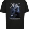 Mister Tee Póló 'Tupac All F*ck the World'  füstkék / világosszürke / fekete-hu