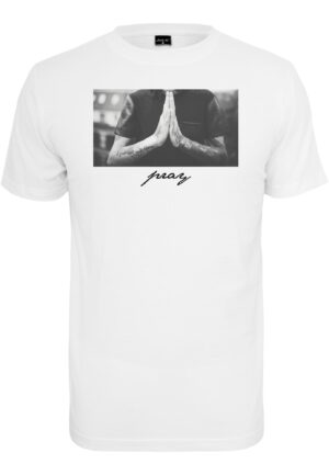 Mister Tee Póló  szürke / fekete / fehér-hu