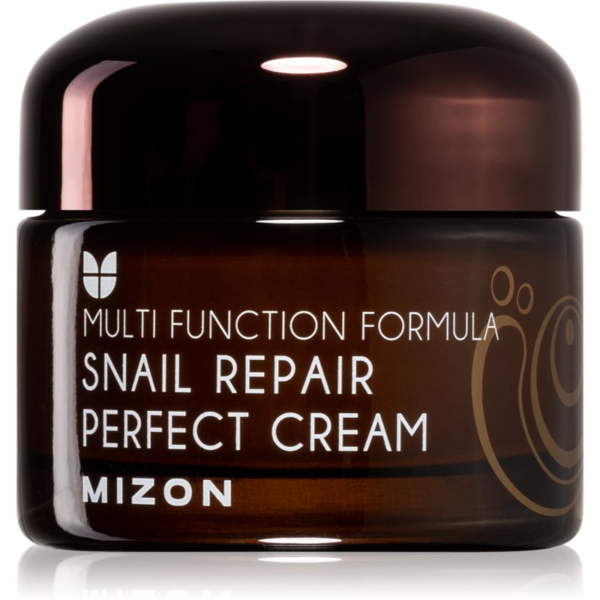 Mizon Multi Function Formula  Snail bőrkrém csiga szekréció 60% szűrletével 50 ml-Eredeti