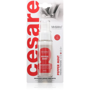 Mr & Mrs Fragrance Cesare Peppermint légfrissítő autóba 50 ml
