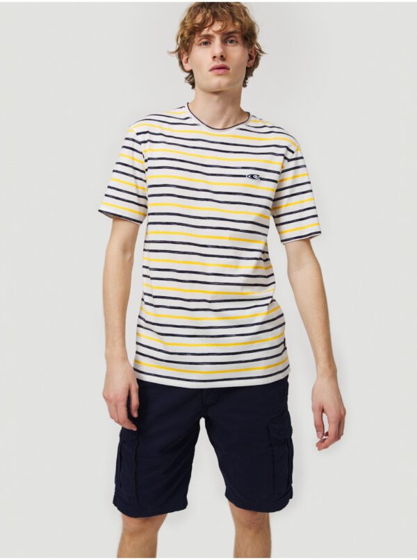 ONeill Complex Cargo Shorts O'Neill - Men