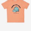Orange Boys T-Shirt Tom Tailor - Boys