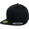 Organic Cotton Snapback Black