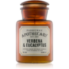 Paddywax Apothecary Verbena & Eucalyptus illatgyertya 226 g-ár