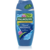 Palmolive Mineral Massage tusfürdő gél 250 ml-Ár