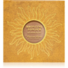 Pierre René Professional Shimmering bronzosító kompakt púder 7