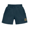 Pinokio Shorts Secret Forest