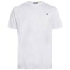 Polo Ralph Lauren Big & Tall Póló  bézs / barna / zöld / fehér-hu