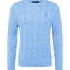 Polo Ralph Lauren Pulóver 'DRIVER'  világoskék-Hungary