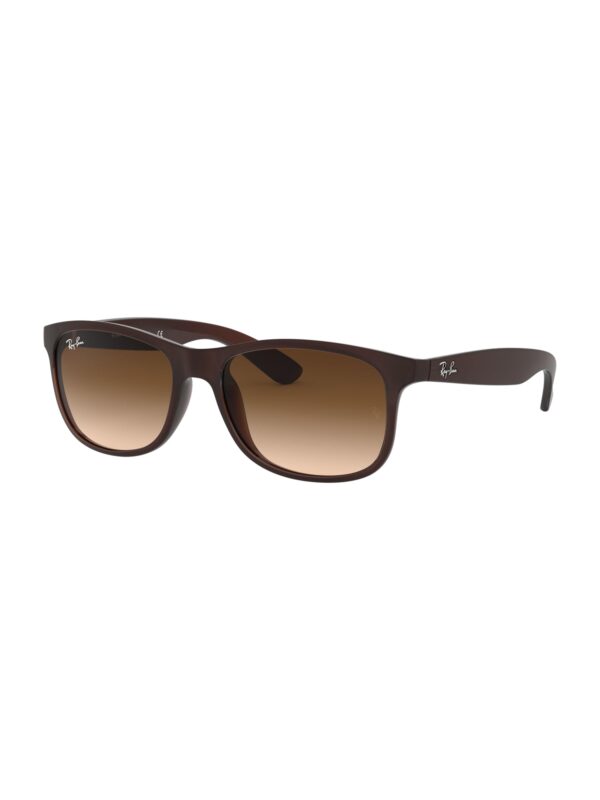 Ray-Ban Napszemüveg 'SPRITZGUSS'  barna