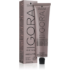 Schwarzkopf Professional IGORA Royal Absolutes hajfesték árnyalat 8-50 Light Blonde Gold Natural 60 ml-Eredeti
