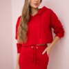 Set of sweatshirt with red skirt