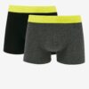Set of two men's boxers in black and dark grey Replay - Men