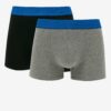 Set of two men's boxers in black and gray Replay - Men