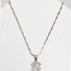 Small Dollar Necklace - Silver Color