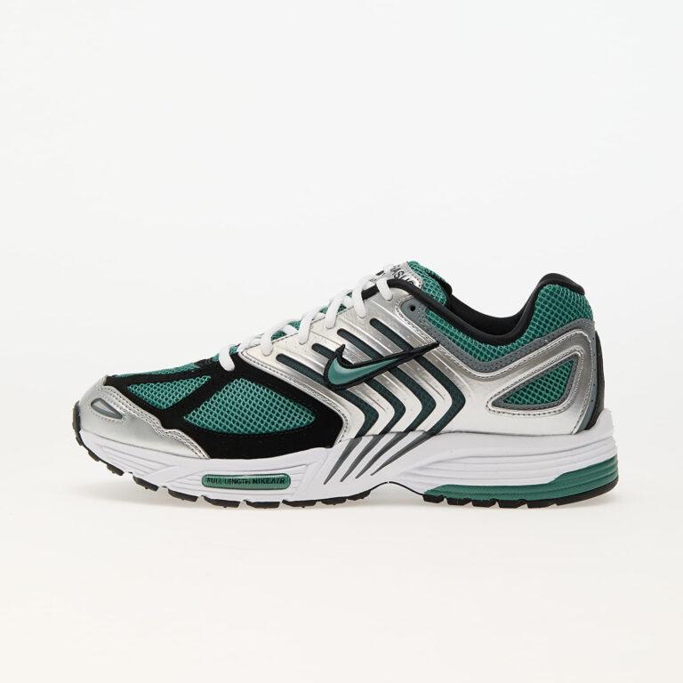 Sneakers Nike Air Pegasus 2005 Metallic Silver/ Bicoastal-Black-White EUR 40-alacsony-ár