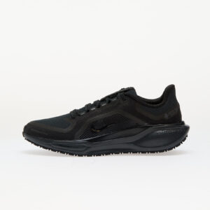 Sneakers Nike W Pegasus 41 Gore-Tex Black/ Black-Anthracite EUR 37.5-alacsony-ár