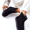 Snow Boots Isolated Fur Black Vicandi