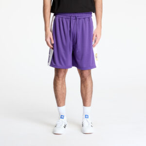 Sort New Era Los Angeles Lakers NBA Graphic Mesh Shorts True Purple M-alacsony-ár