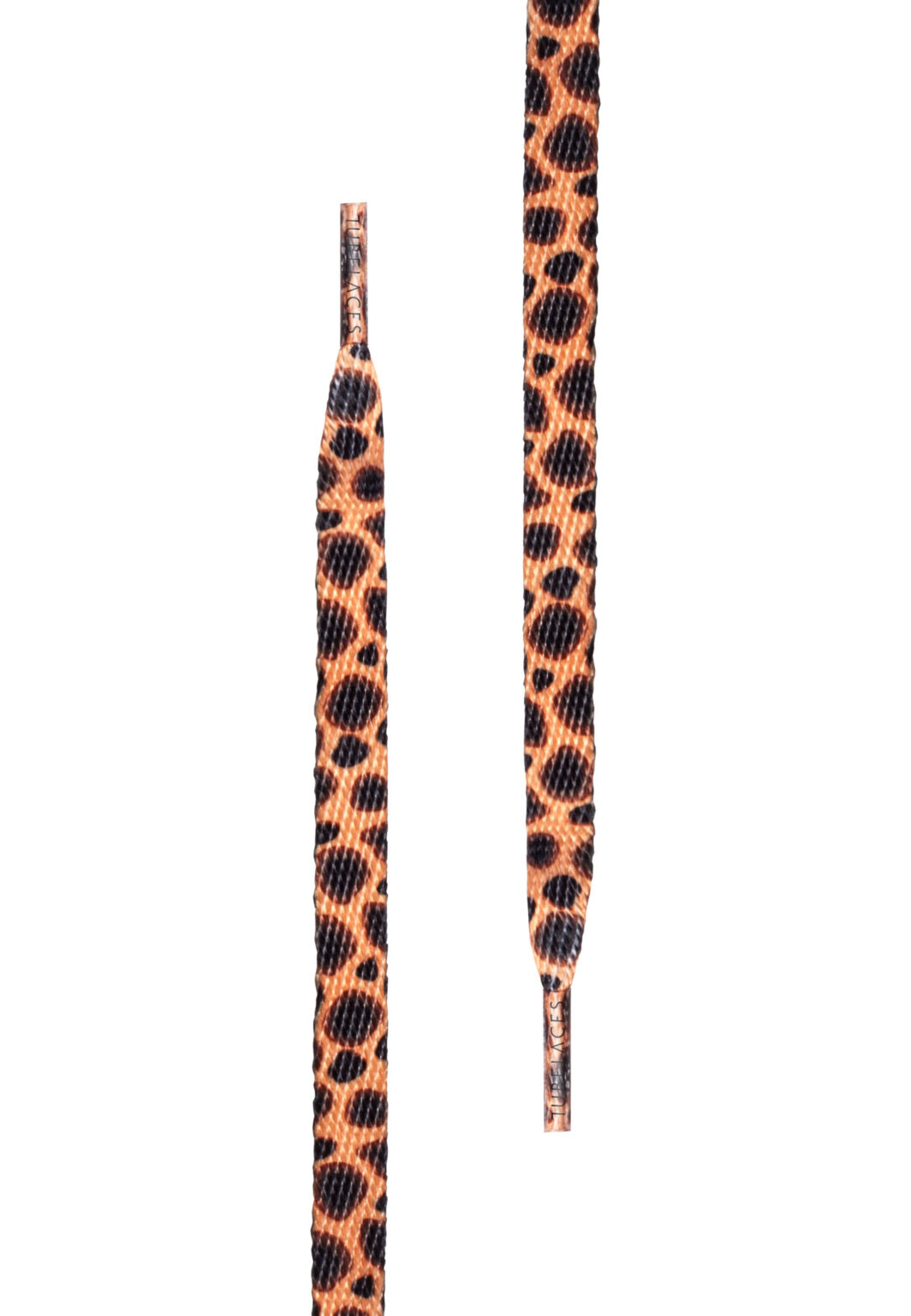 Special Flat Cheetah