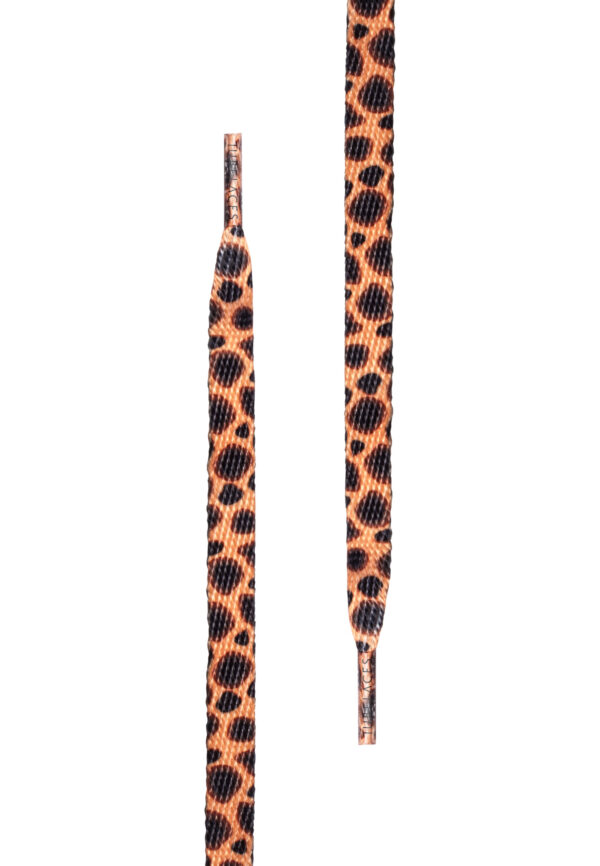 Special Flat Cheetah