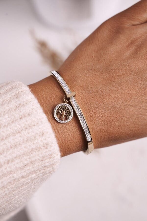 Steel bracelet with cubic zircon Tree of Life Golden Alive
