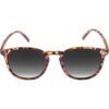 Sunglasses Arthur Youth havanna/grey