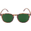Sunglasses Arthur havanna/green