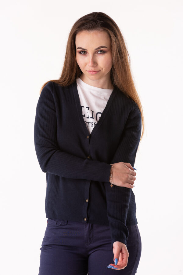 Sweater - TOMMY HILFIGER VARINKA V-NK CARDI blue