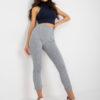 Sweatpants-RV-DR-7731.19-gray
