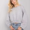Sweatshirt-RV-BL-7450.64-gray