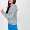 Sweatshirt-RV-BL-7998.60P-gray