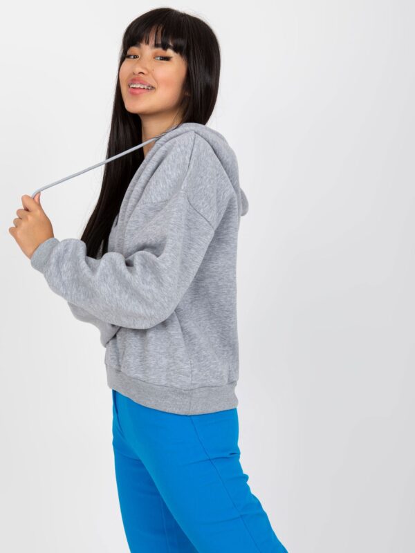 Sweatshirt-RV-BL-7998.60P-gray