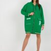 Sweatshirt-RV-BL-8149.91P-green