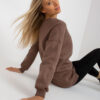 Sweatshirt-RV-BL-8261.51-brown