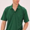T0063 DEWBERRY