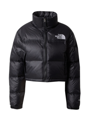 THE NORTH FACE Téli dzseki 'Nuptse'  fekete / ezüst-Ár