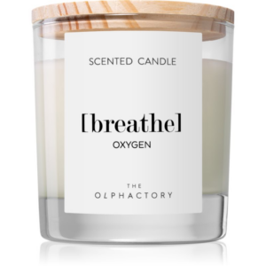 The Olphactory The Olphactory Oxygen illatgyertya (Breathe) 200 g-Ár