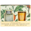 The Somerset Toiletry Co. Diffuser & Candle Gift Set ajándékszett Orange Blossom-ár