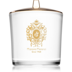 Tiziana Terenzi Spicy Snow illatgyertya fa kanóccal 500 g-Ár