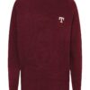 Tommy Hilfiger Sweater - MONOGRAM AMERICAN CO red